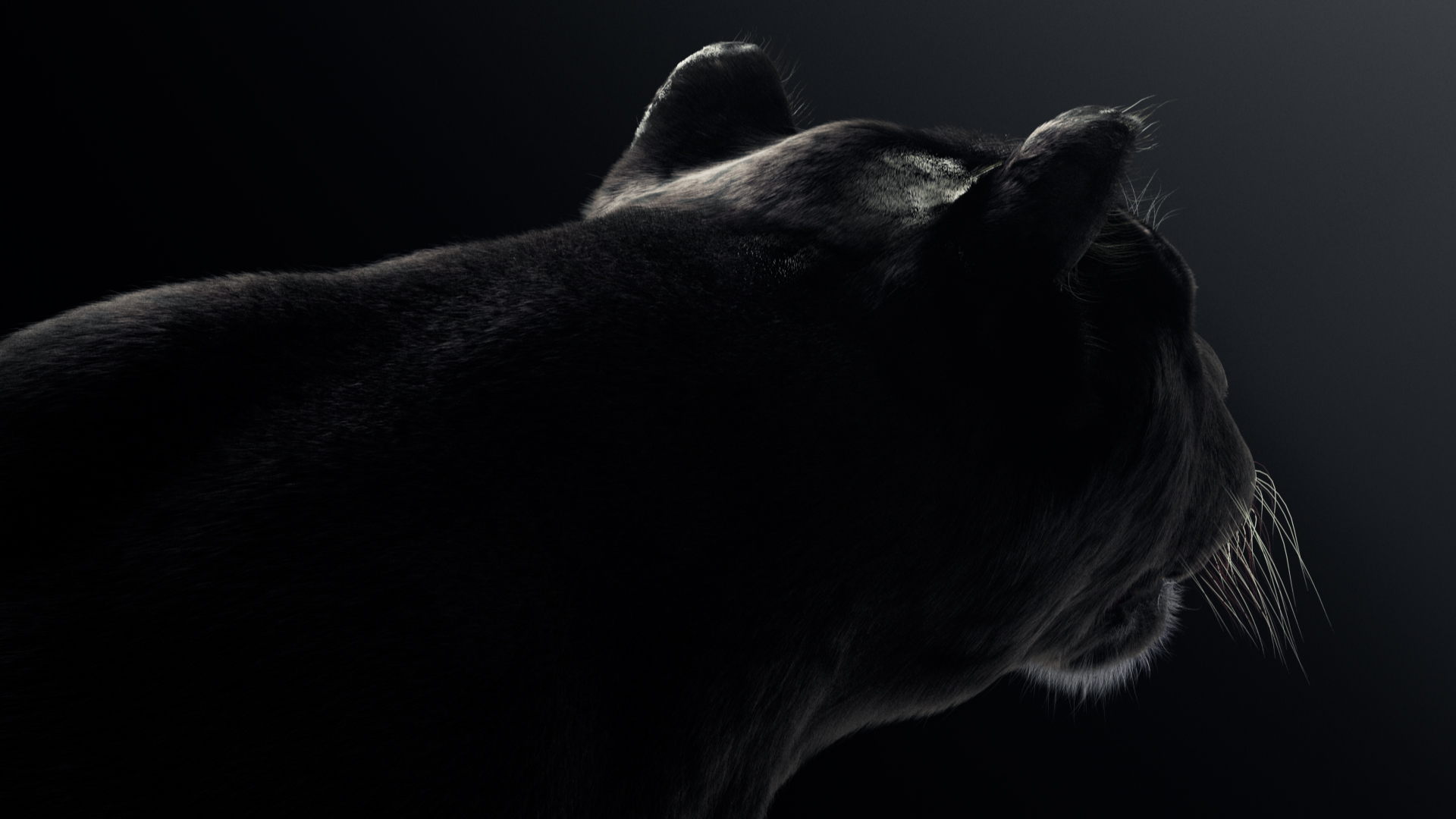 Black_Panther_Image_002_00000