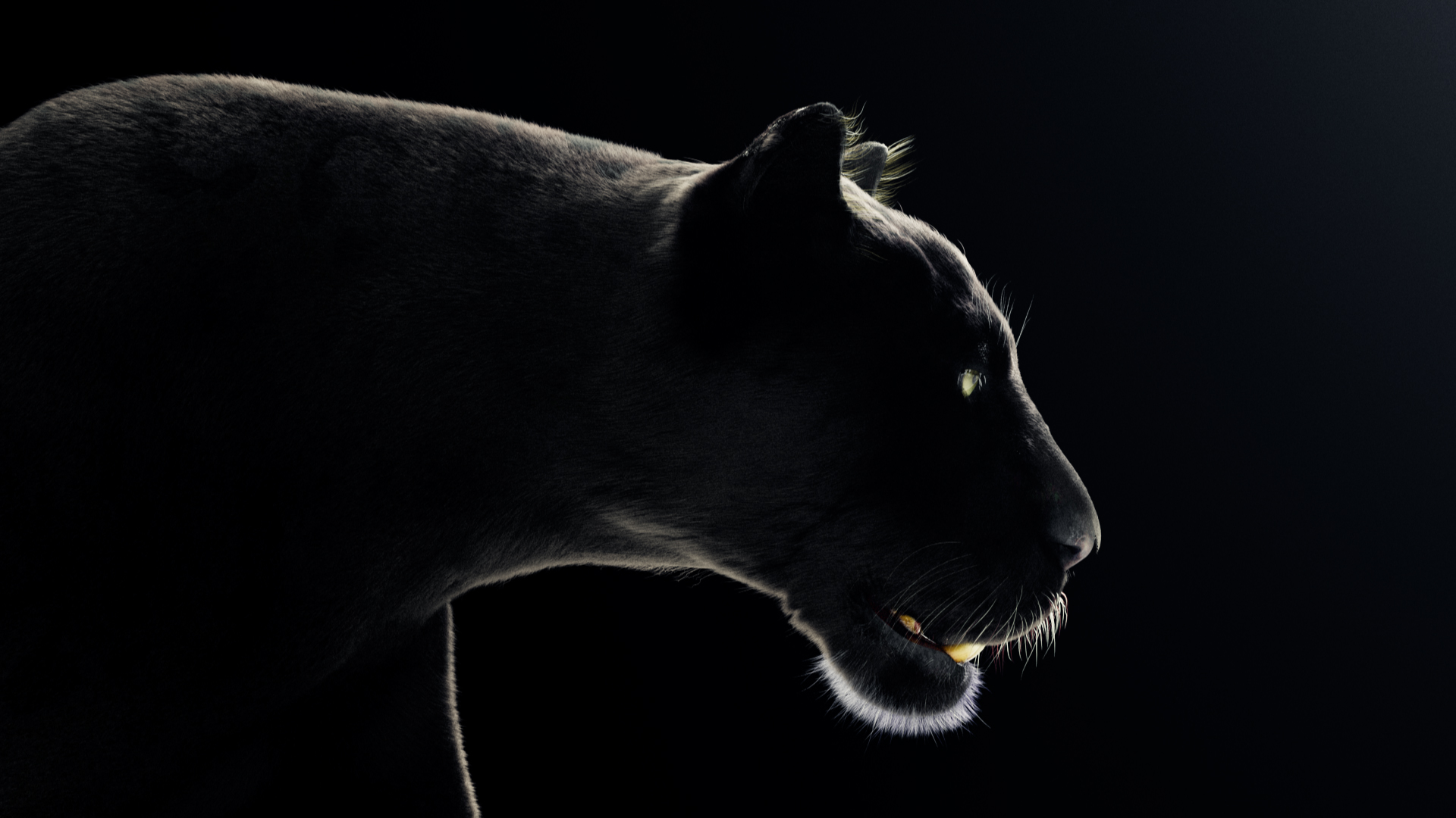Black_Panther_Image_003_00000