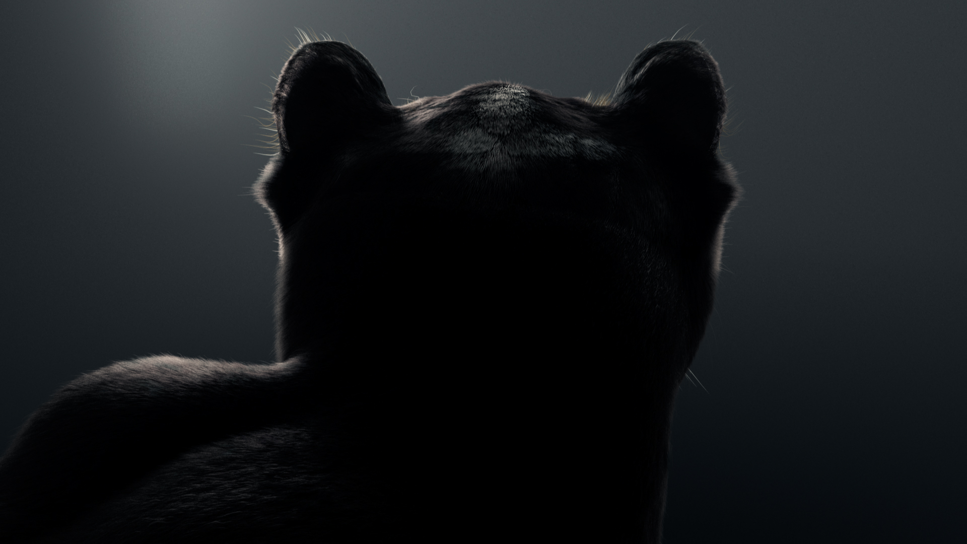 Black_Panther_Image_004_00000