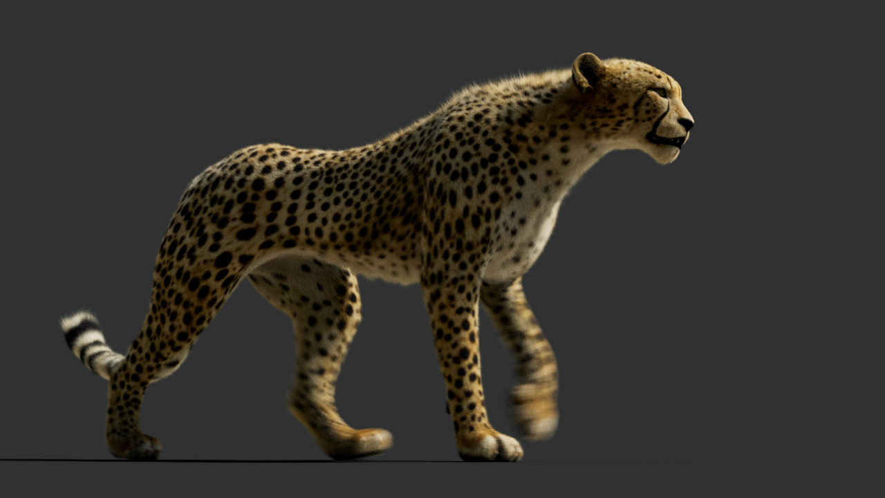 Cheetah_001_00000