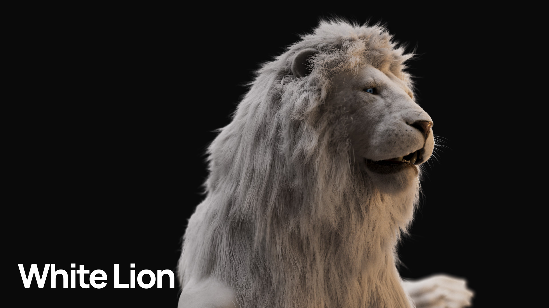 MOSAICO_ANIMALS_WHITE_LION_00000