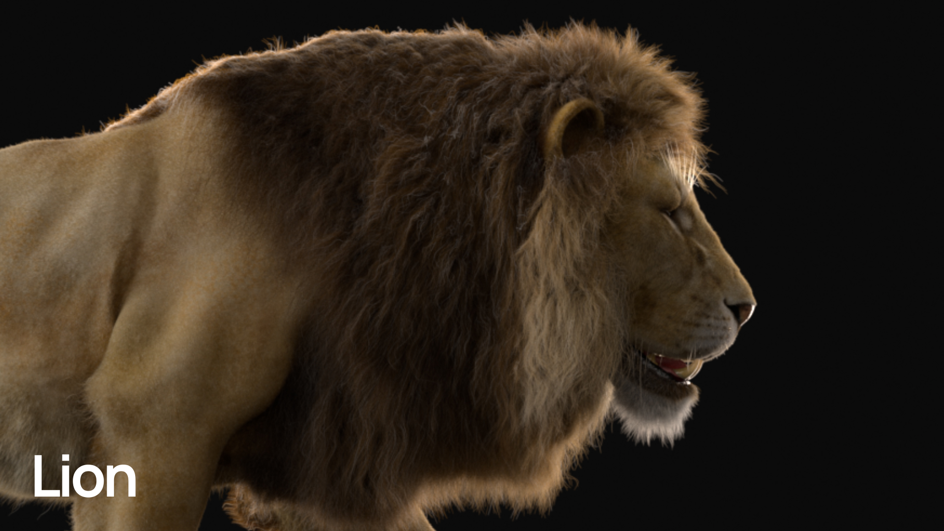 MOSAICO_LION_00000