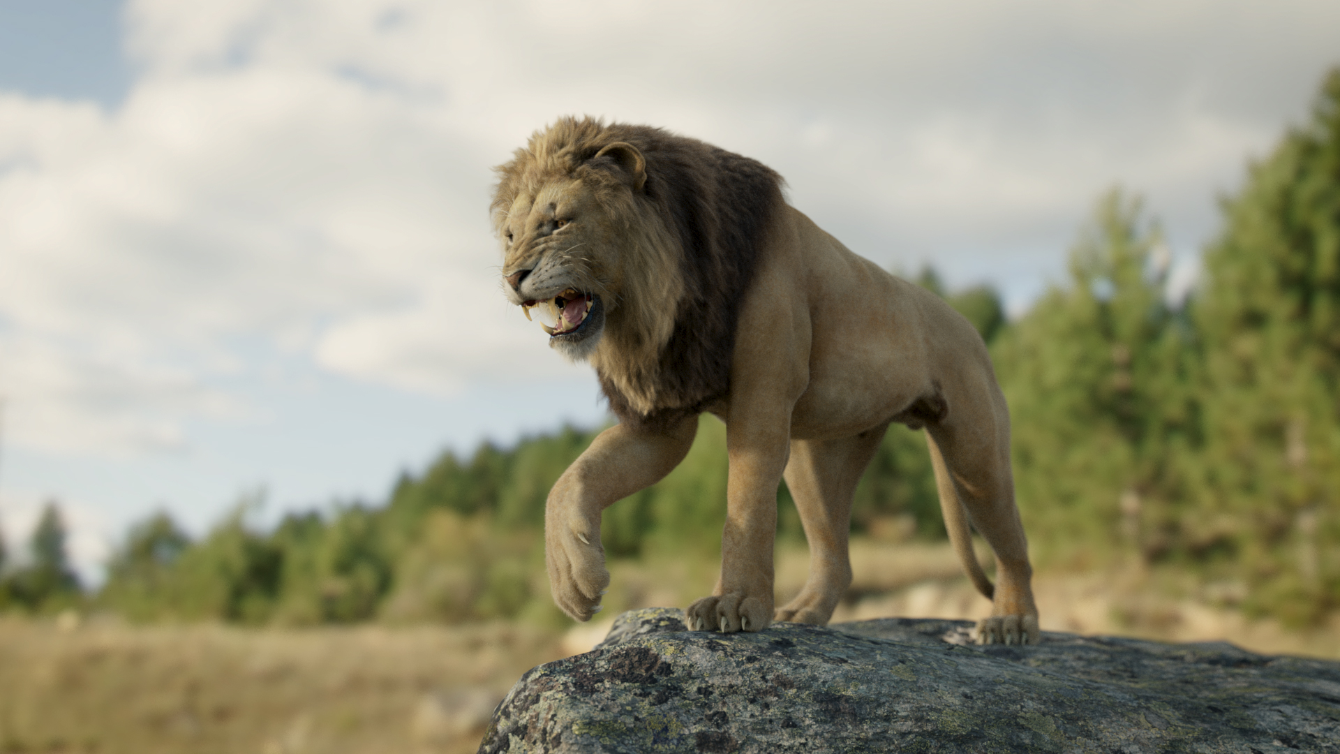 lion_002_00000