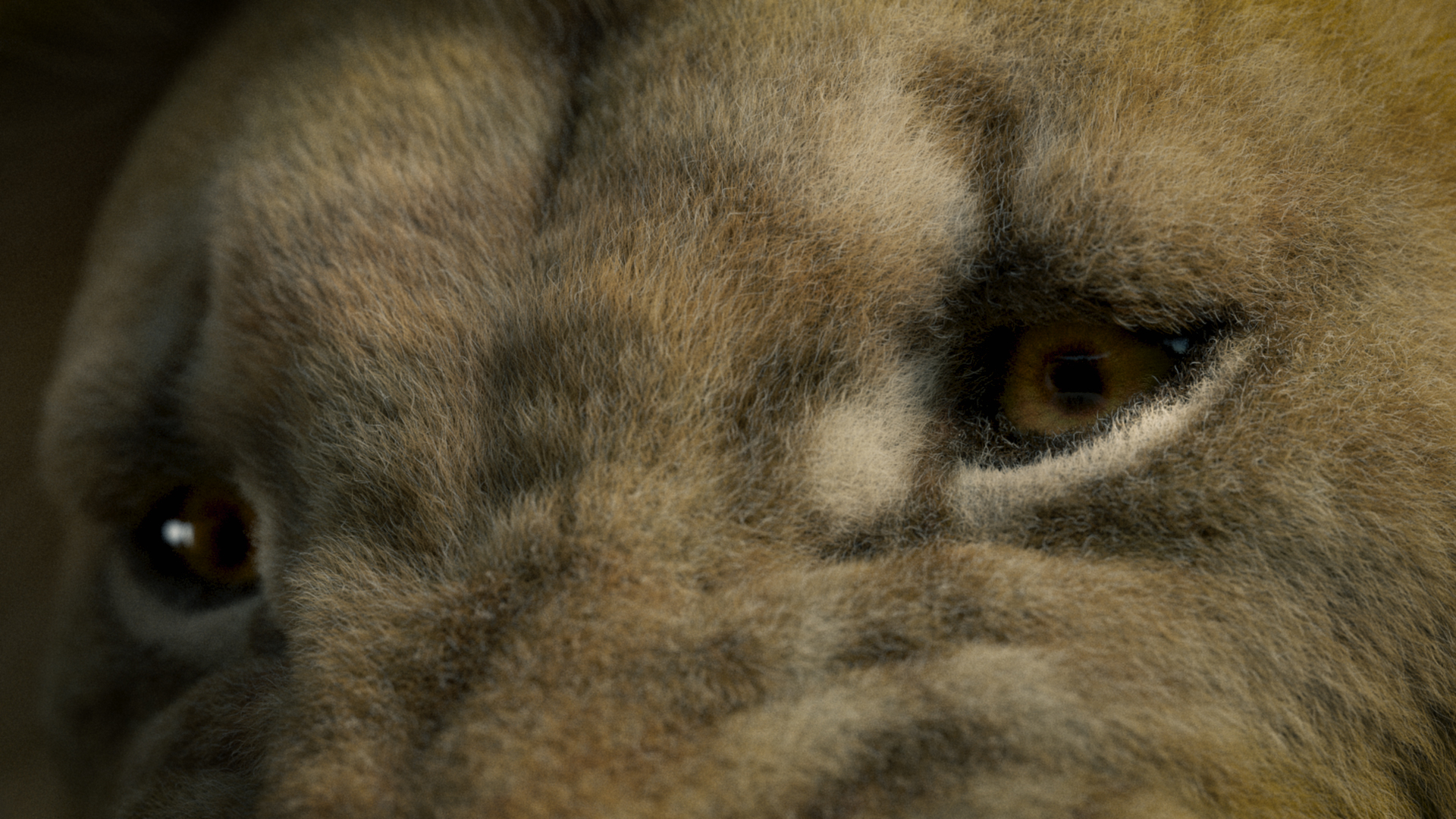 lion_003_00000