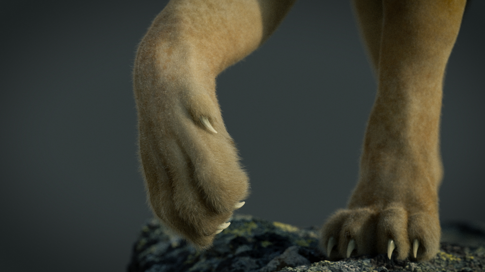 lion_004_00000