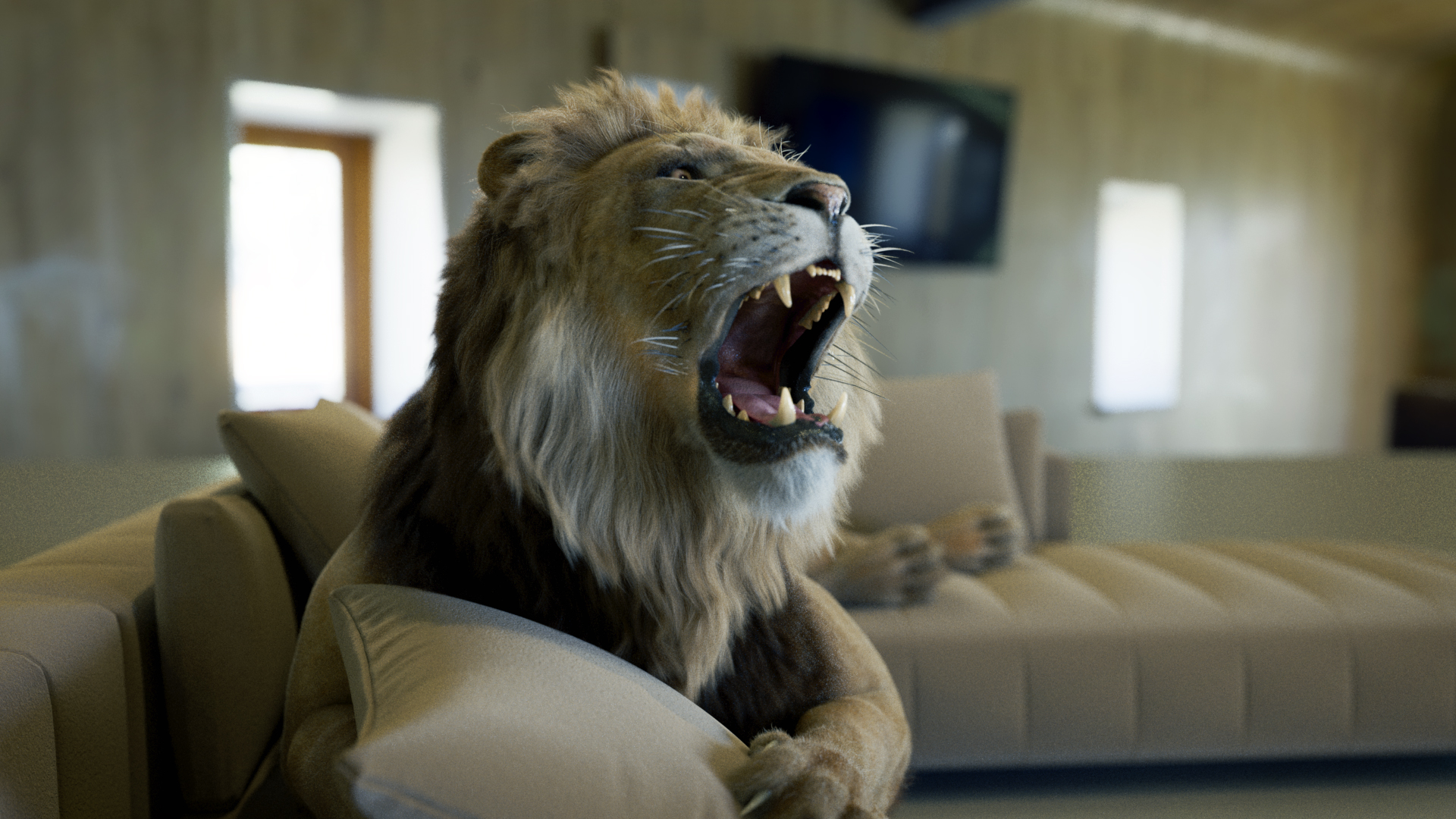 lion_005_00000